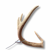 Big Buck Cuffs